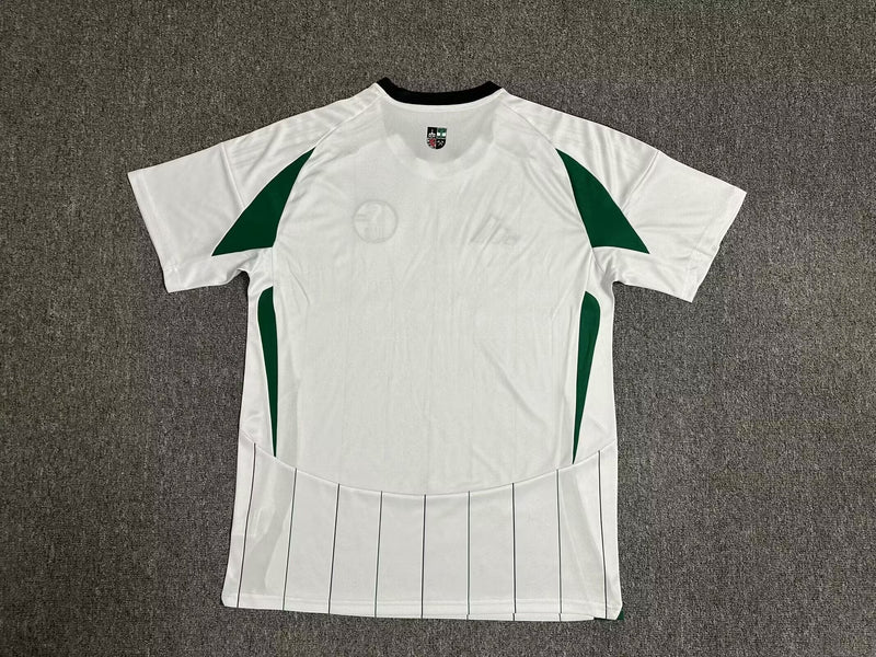 Schalke 04 away 24/25