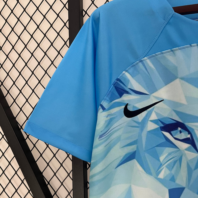 Camisola Seleção Holanda Edição Especial 2024 Away