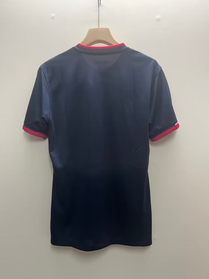 Camisola  Ajax  Edição Especial Comemorativa 2024/25