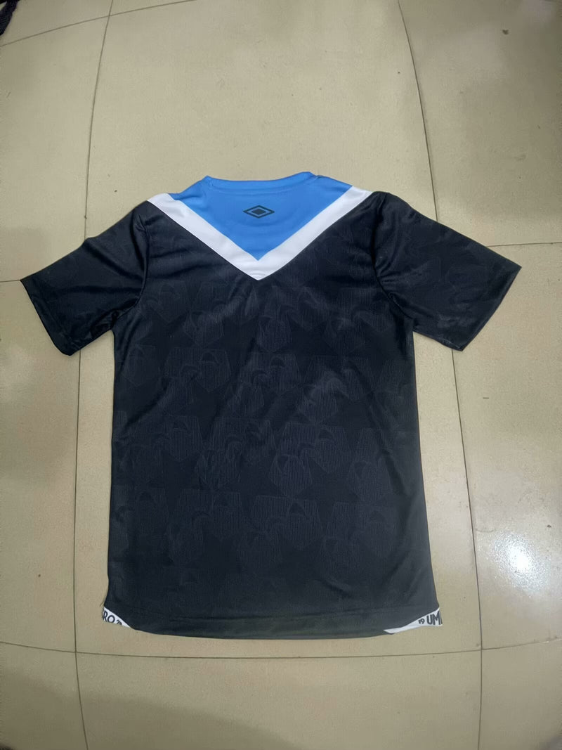 Camisola Grêmio 24/25
