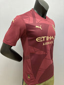 Camisola MANCHESTER CITY 24/25  Third Away