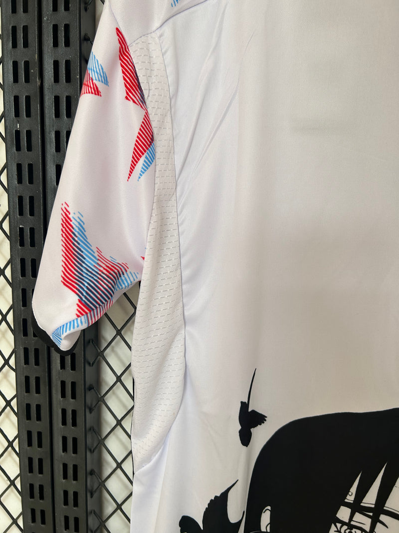 Camisola Seleção Japão 2024/25 Especial